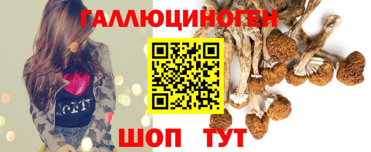 Лабинск  Псилоцибиновые грибы Psilocybine cubensis  купить   Вход с VPN 